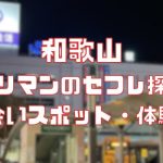 和歌山 ヤリマンのセフレ探し！