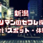 新潟 ヤリマンのセフレ探し！