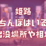 姫路に立ちんぼはいる？