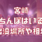 宮崎に立ちんぼはいる？