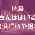 徳島に立ちんぼはいる？