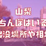 山梨に立ちんぼはいる？