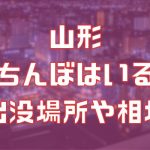 山形の立ちんぼ事情を調査