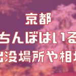 京都に立ちんぼはいる？