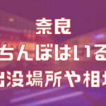 奈良に立ちんぼはいる？