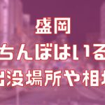 盛岡に立ちんぼはいる？